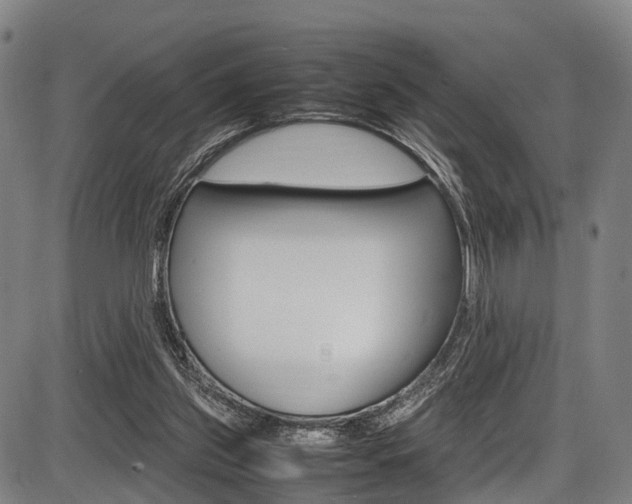X0000087620157200704271146