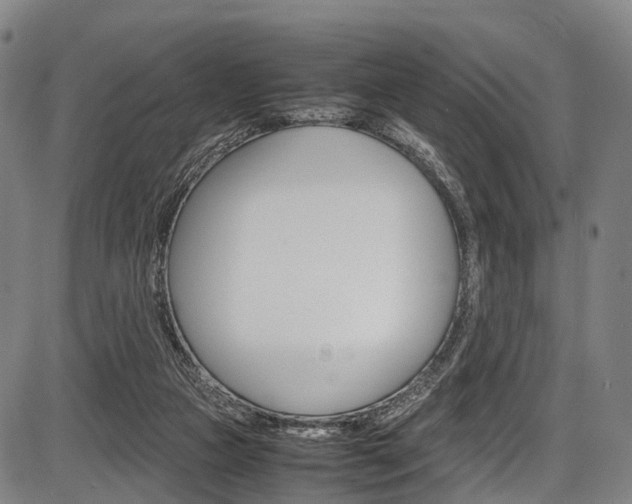 X0000087620161200704271146