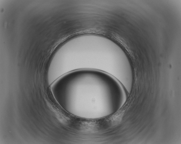 X0000087620164200704271146