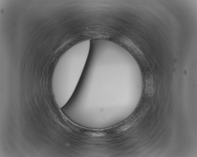 X0000087620165200704271146