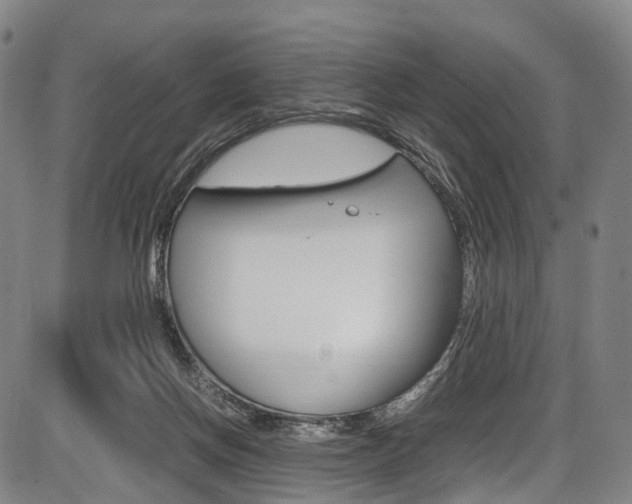 X0000087620166200704271146