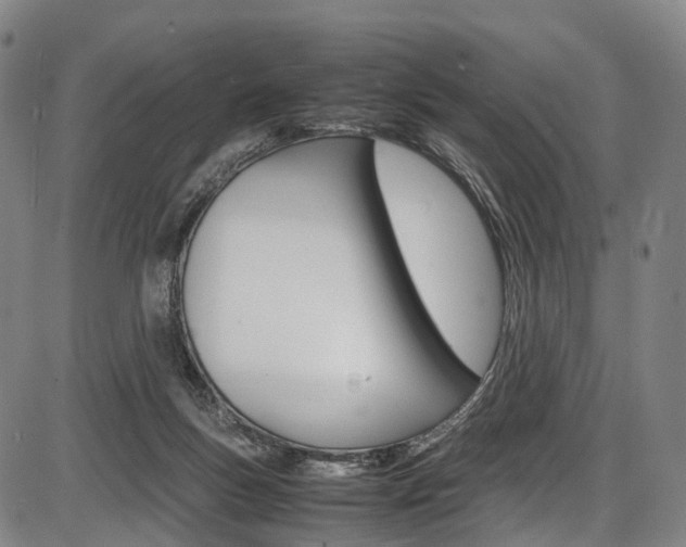 X0000087620167200704271146