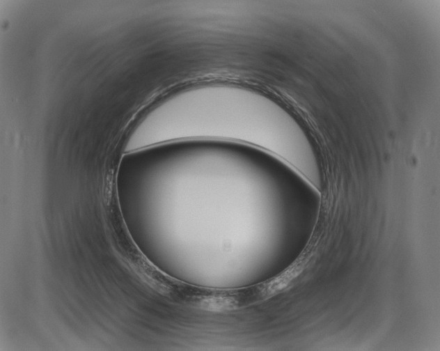 X0000087620168200704271146
