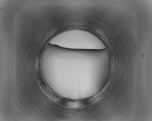 X0000087620171200704271146