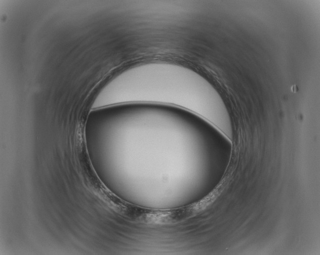 X0000087620172200704271146