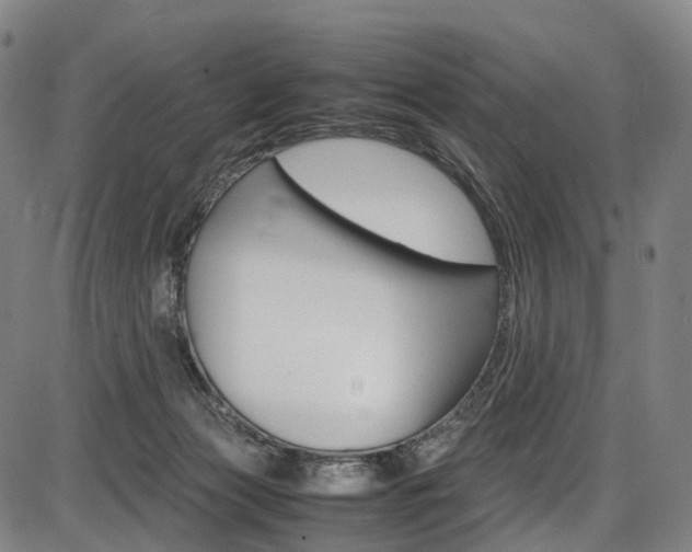 X0000087620173200704271146