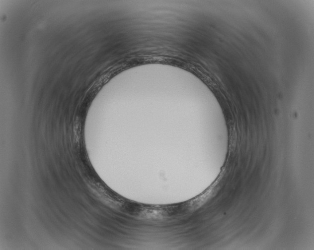 X0000087620174200704271146