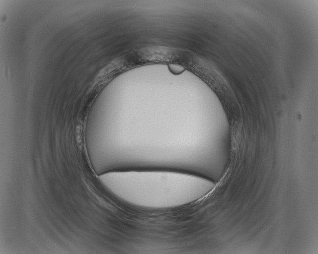 X0000087620175200704271146