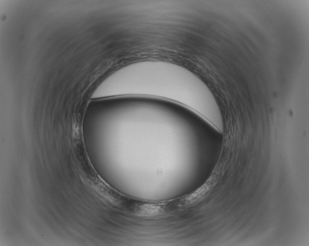 X0000087620176200704271146