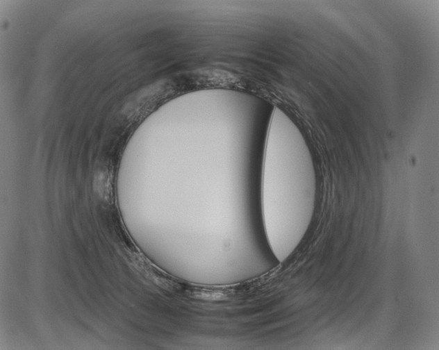 X0000087620177200704271146