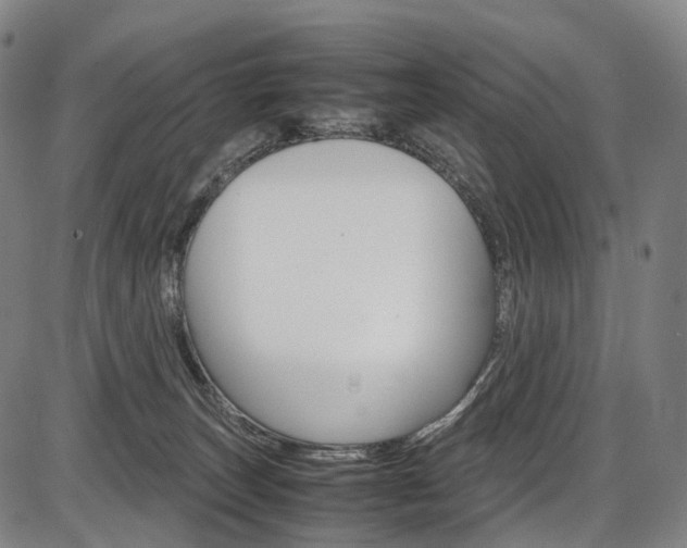 X0000087620179200704271146