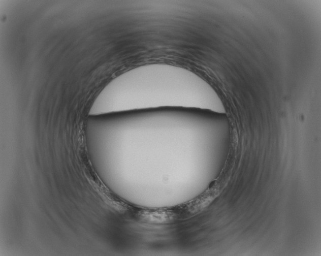 X0000087620181200704271146