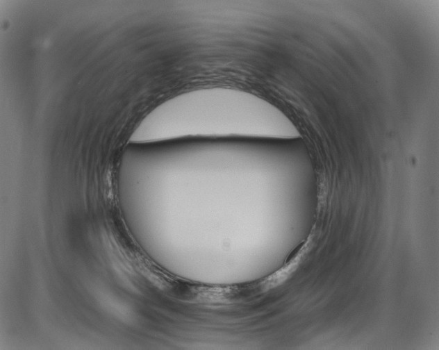 X0000087620182200704271146