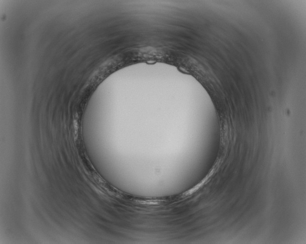 X0000087620183200704271146