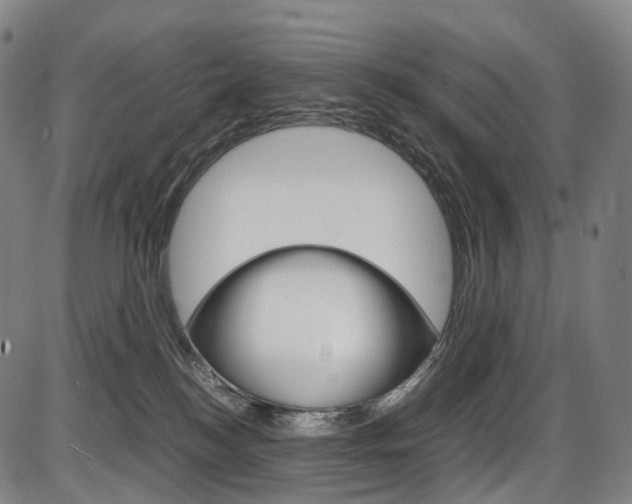 X0000087620184200704271146