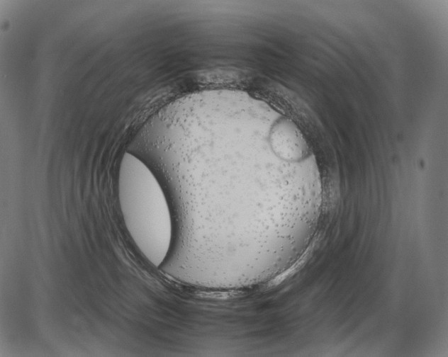 X0000087620187200704271146