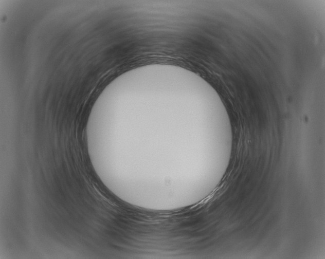 X0000087620188200704271146
