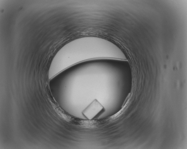 X0000087620192200704271146