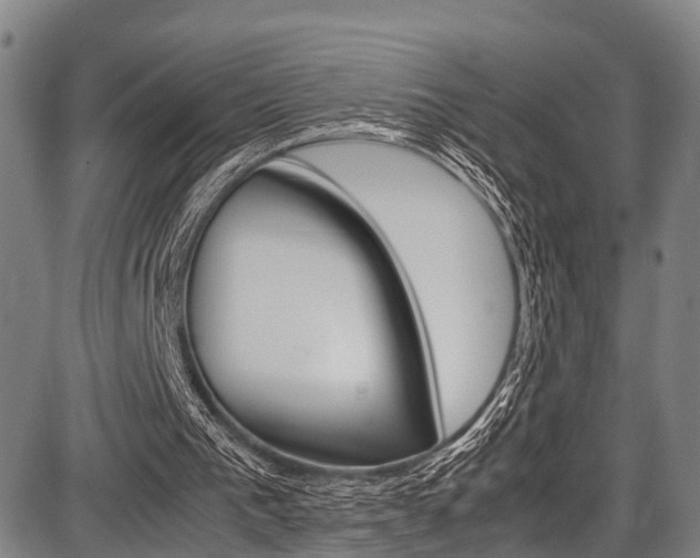 X0000087620193200704271145