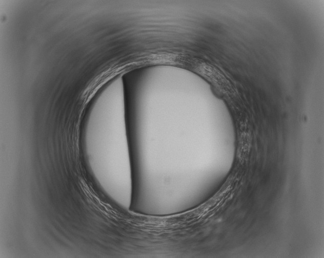 X0000087620194200704271145
