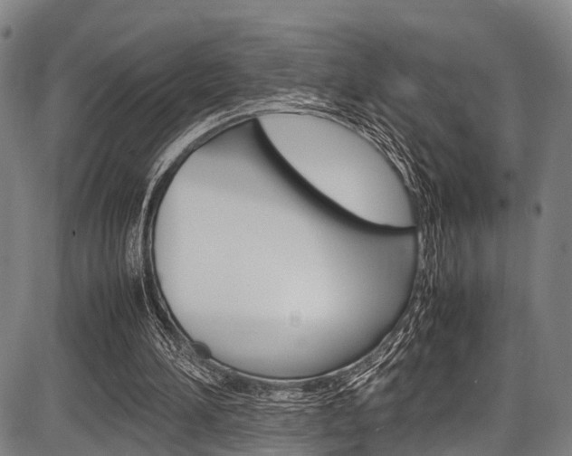 X0000087620196200704271145