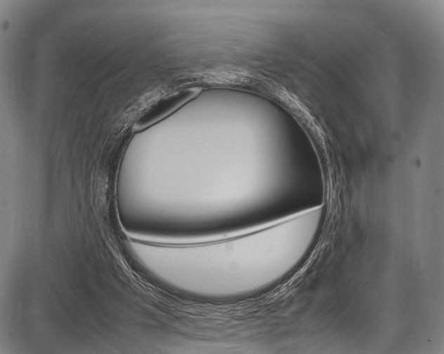 X0000087620201200704271145