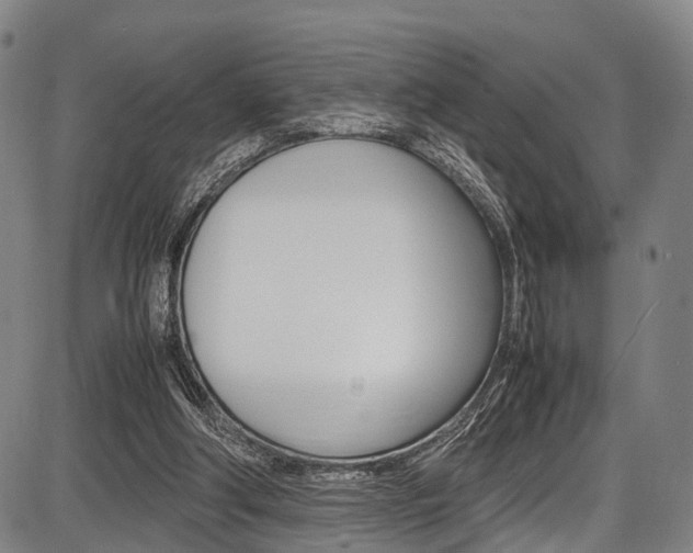 X0000087620202200704271145