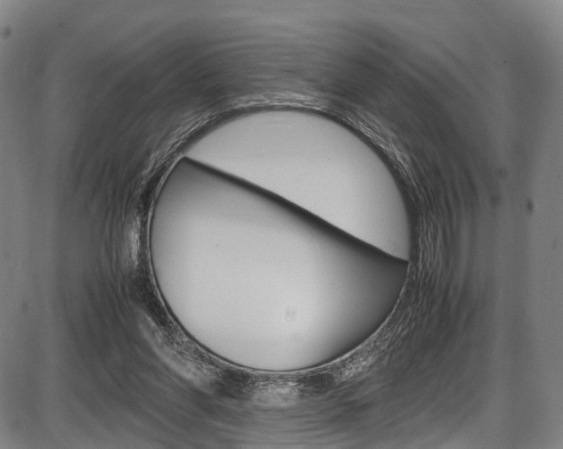 X0000087620206200704271145