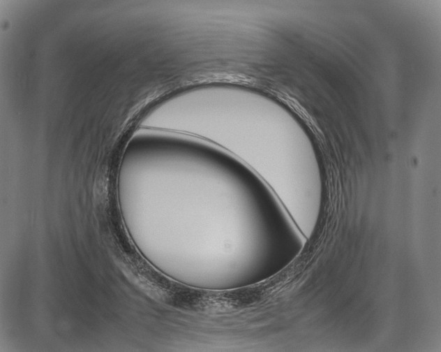 X0000087620207200704271145