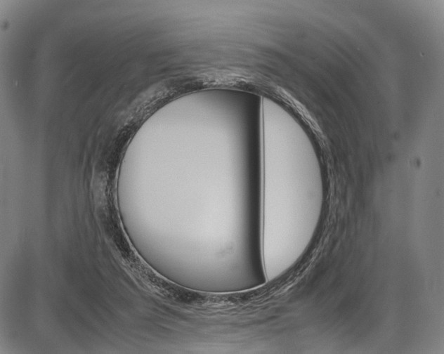 X0000087620209200704271145