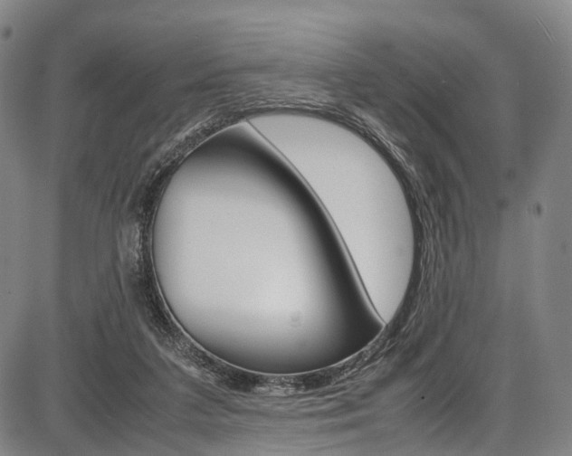 X0000087620211200704271145