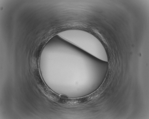 X0000087620213200704271145