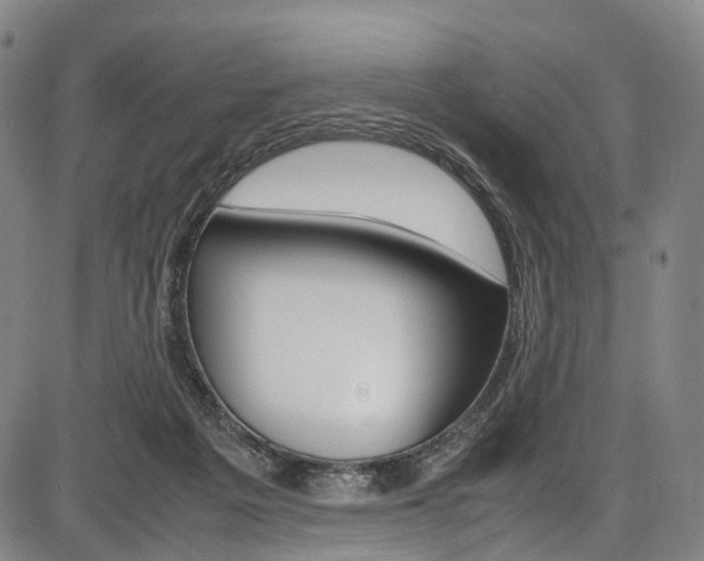 X0000087620217200704271145