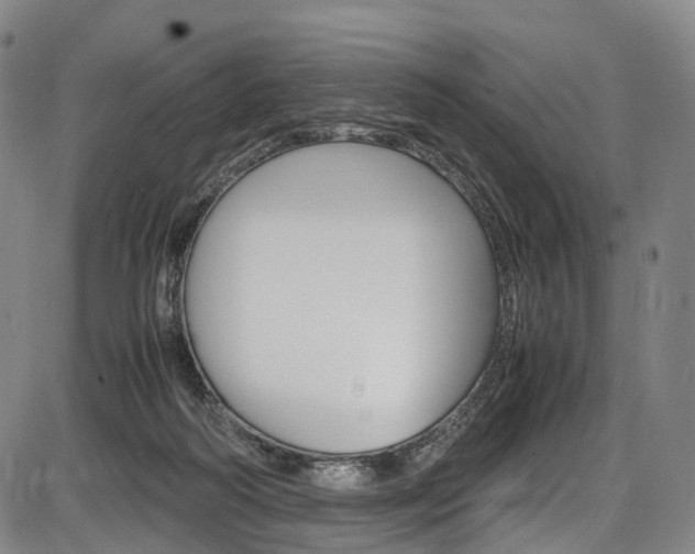 X0000087620218200704271145