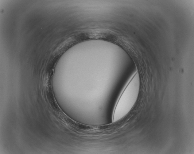 X0000087620219200704271145