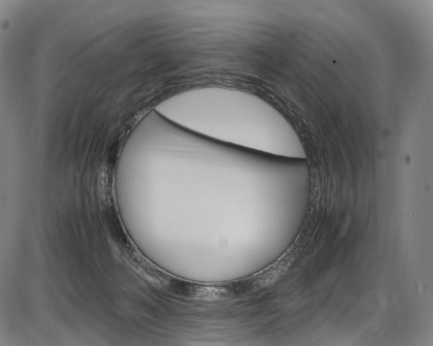 X0000087620222200704271145