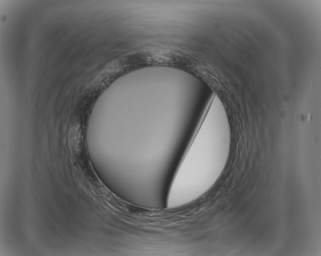 X0000087620223200704271145