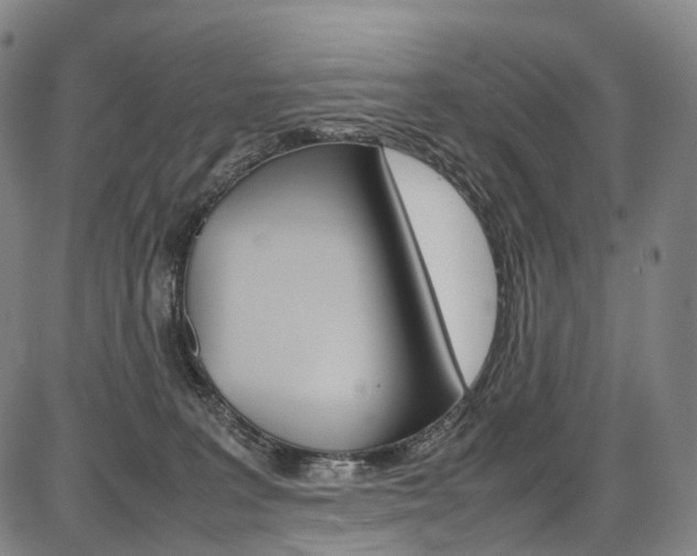 X0000087620227200704271145