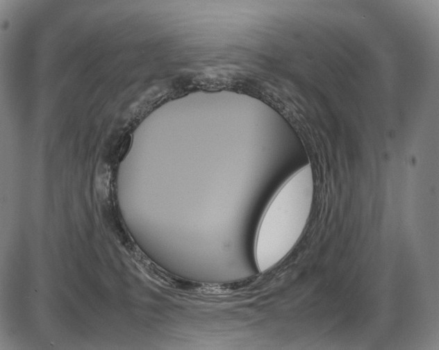 X0000087620231200704271145
