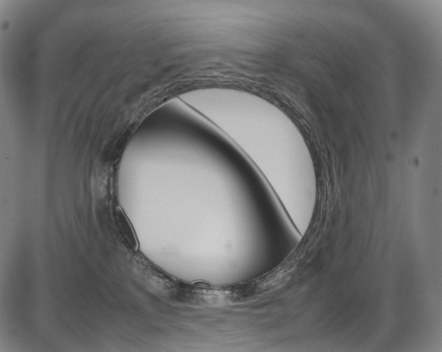 X0000087620233200704271145