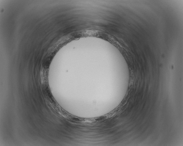 X0000087620236200704271145