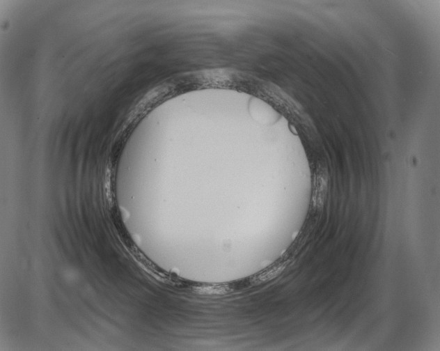 X0000087620238200704271145