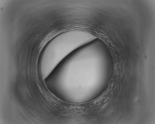X0000087620242200704271144