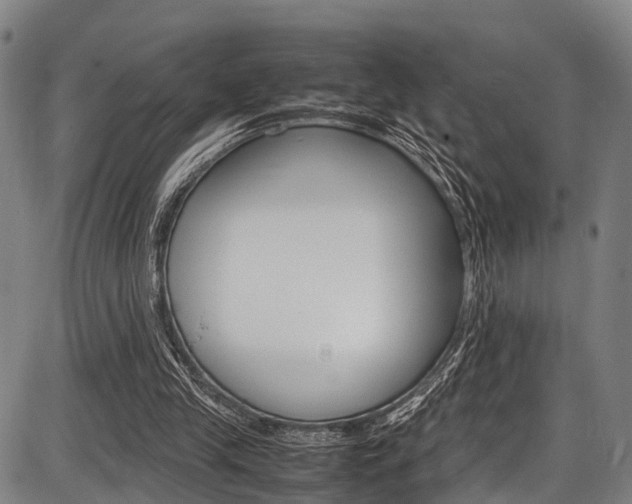 X0000087620245200704271144