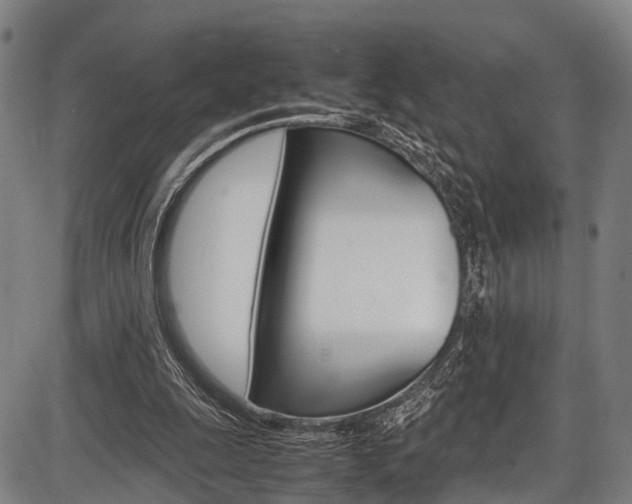 X0000087620247200704271144