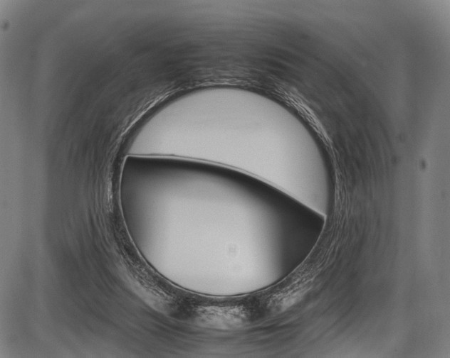 X0000087620251200704271144
