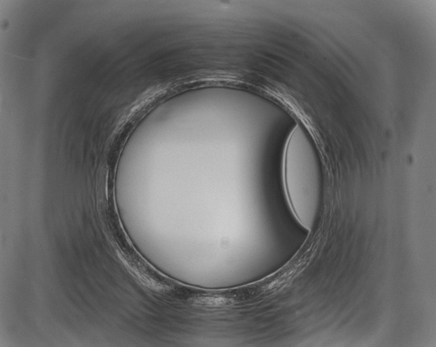 X0000087620253200704271144