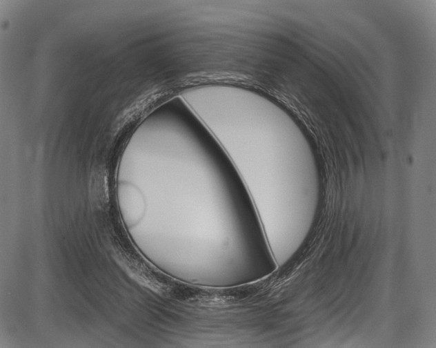 X0000087620254200704271144