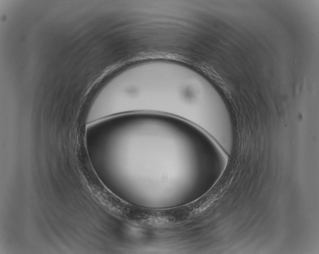 X0000087620256200704271144