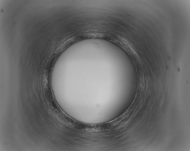 X0000087620259200704271144